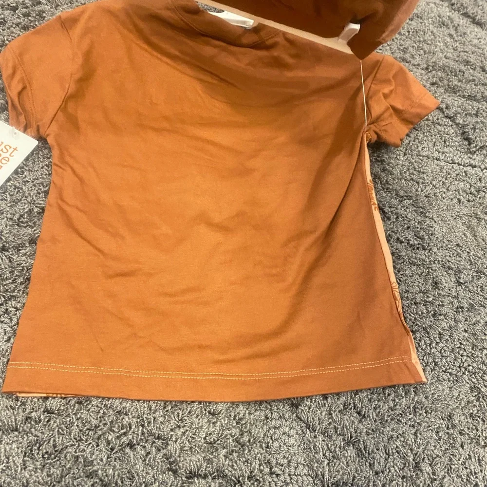 Carter's Two-Tone Rust and Peach Lion Outfit Set